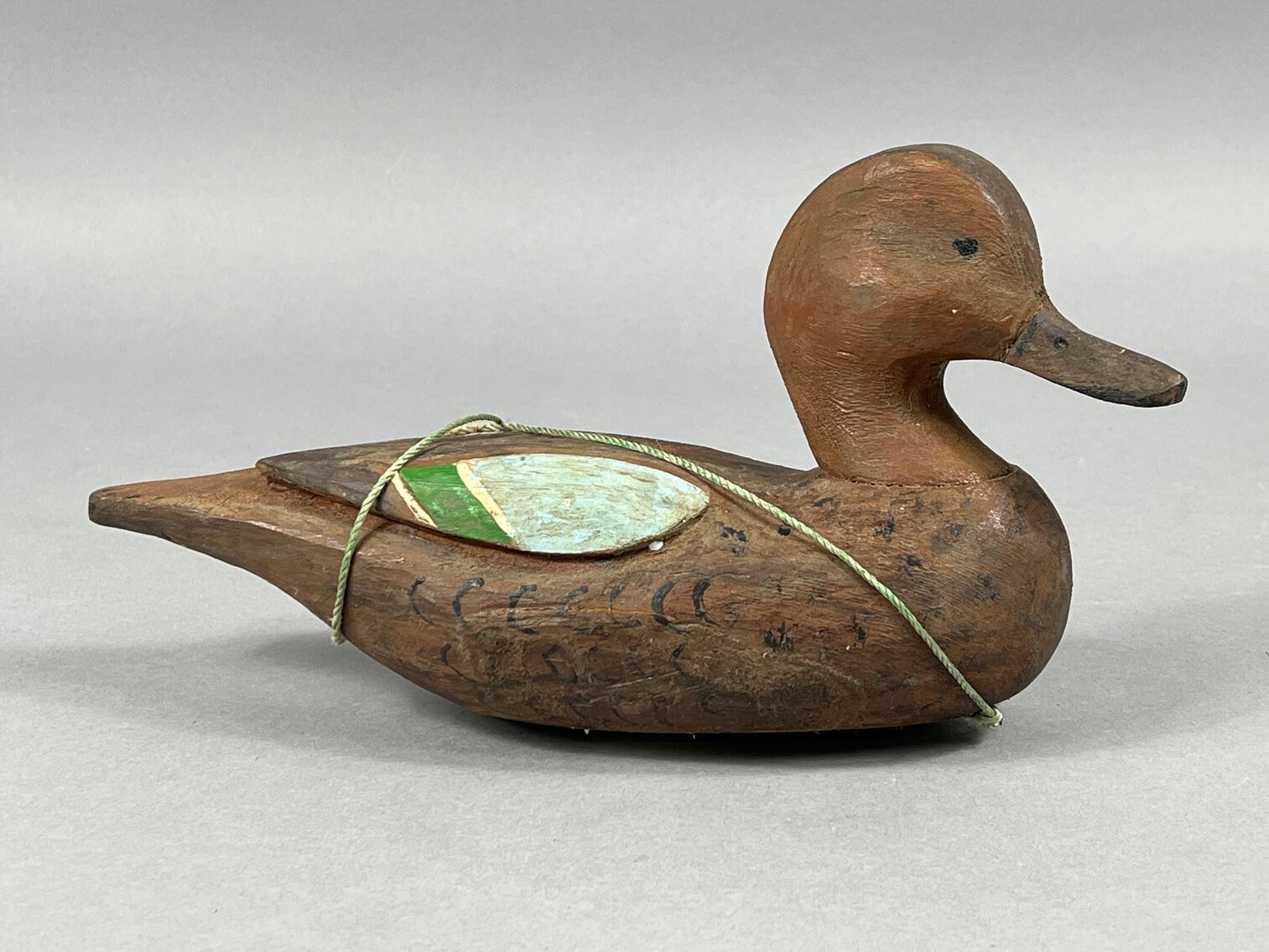 Cinnamon Teal from Louisiana 