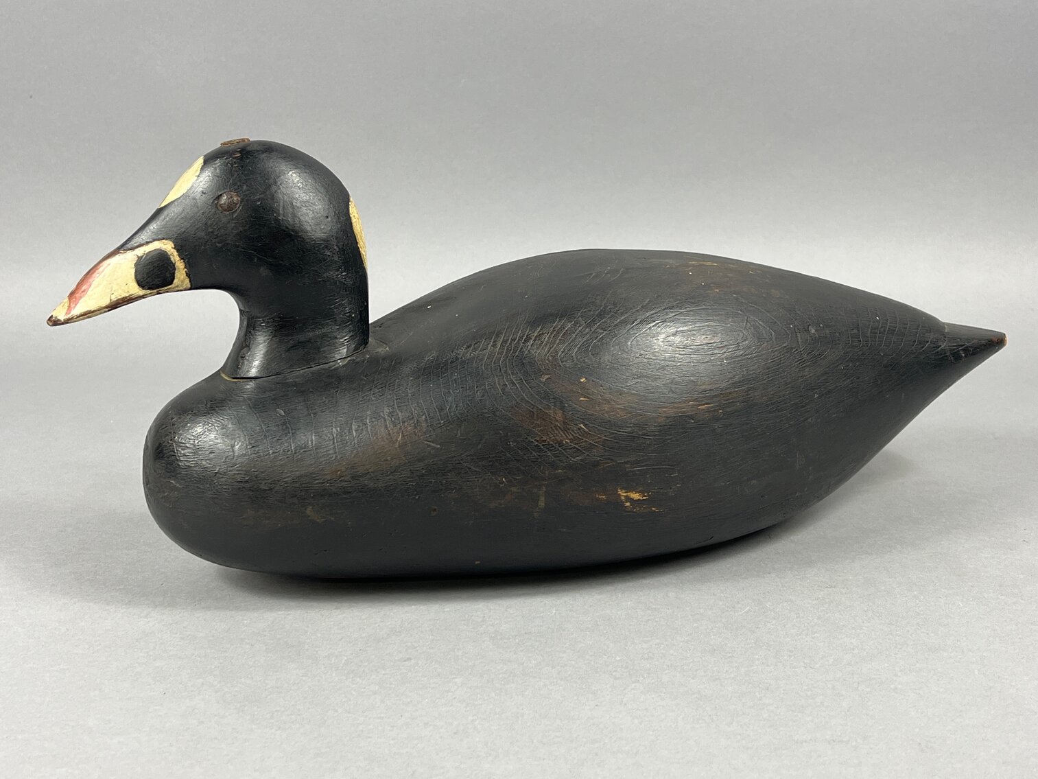 Scoter from New England 