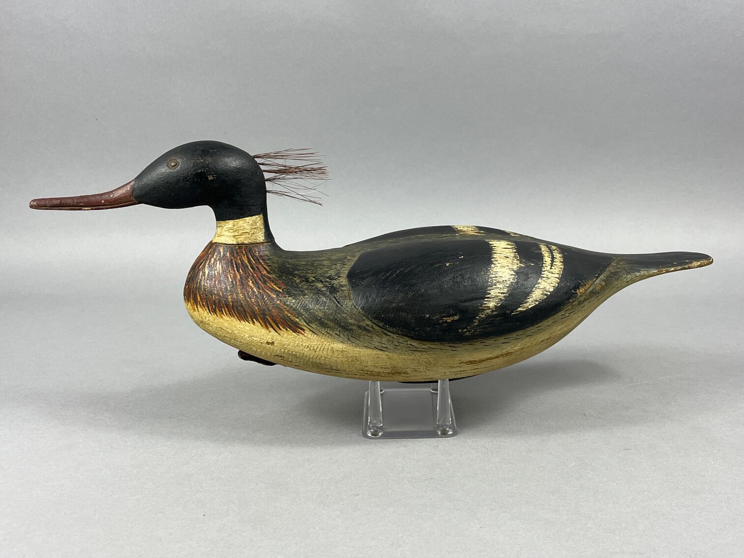 Merganser Unknown