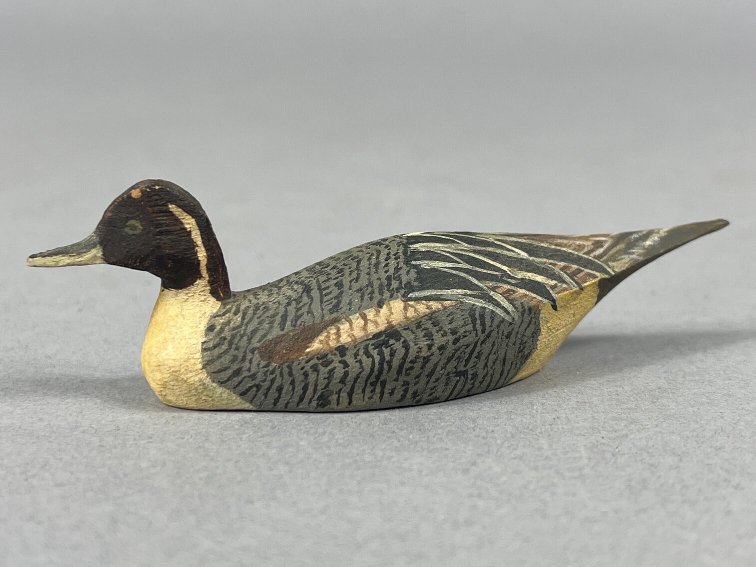 Pintail by Hal Hancock