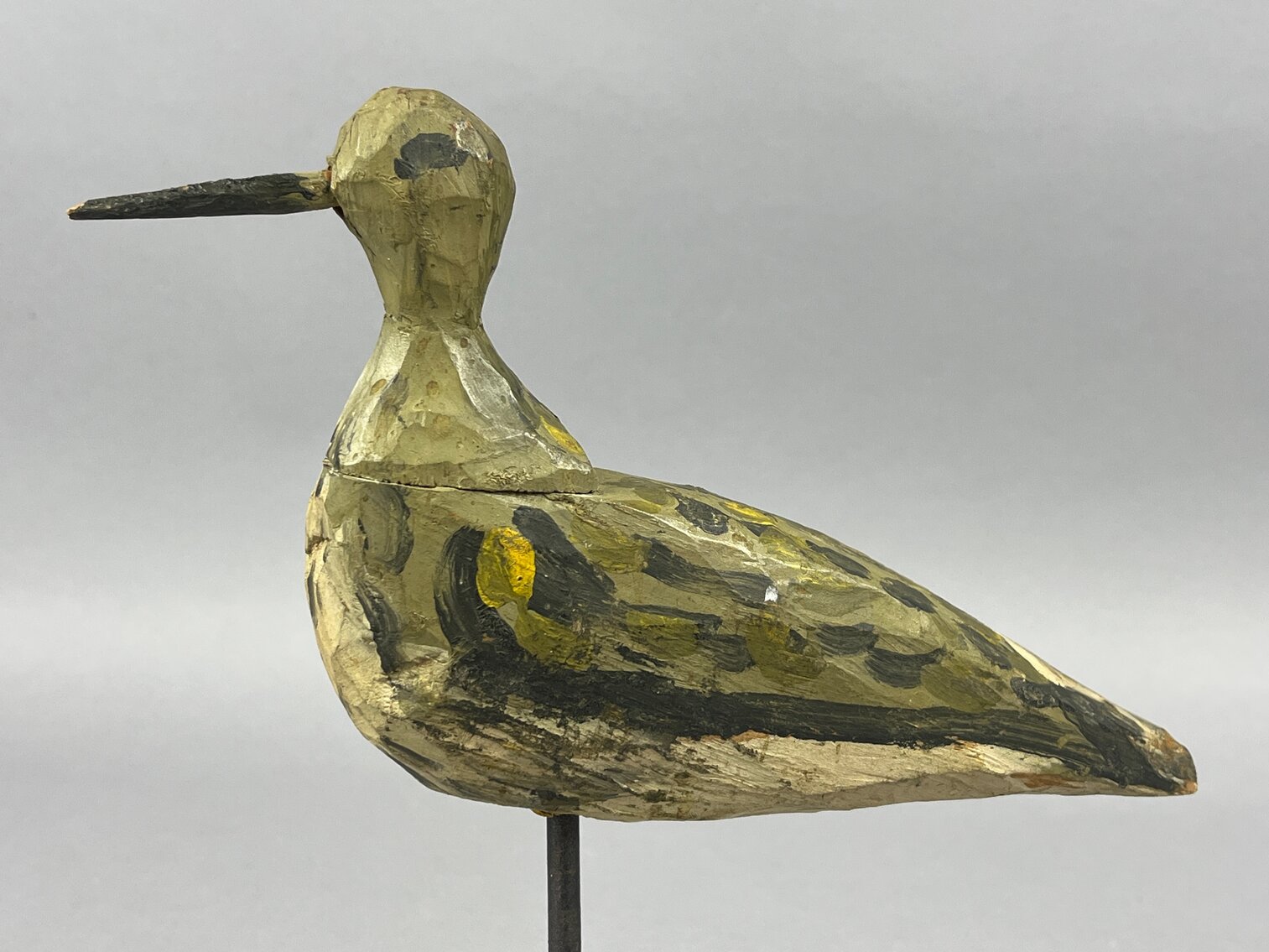 Roothead Plover 