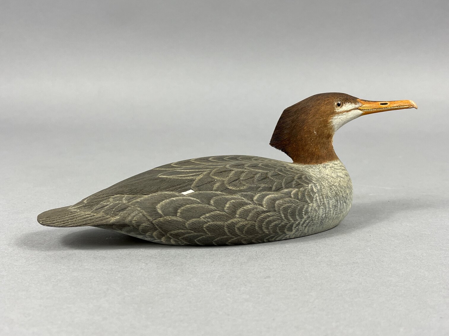 Red Breasted Mergansers Hen by Donald Morley