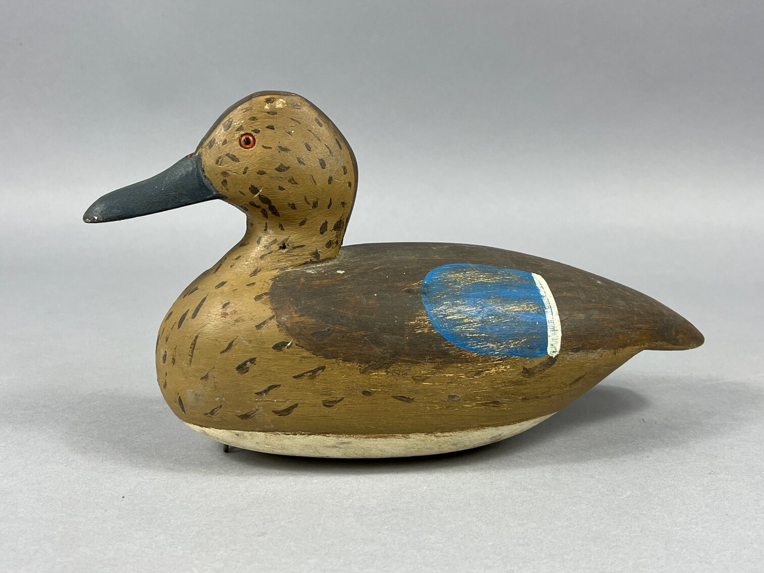 Blue Wing Teal from Louisiana 