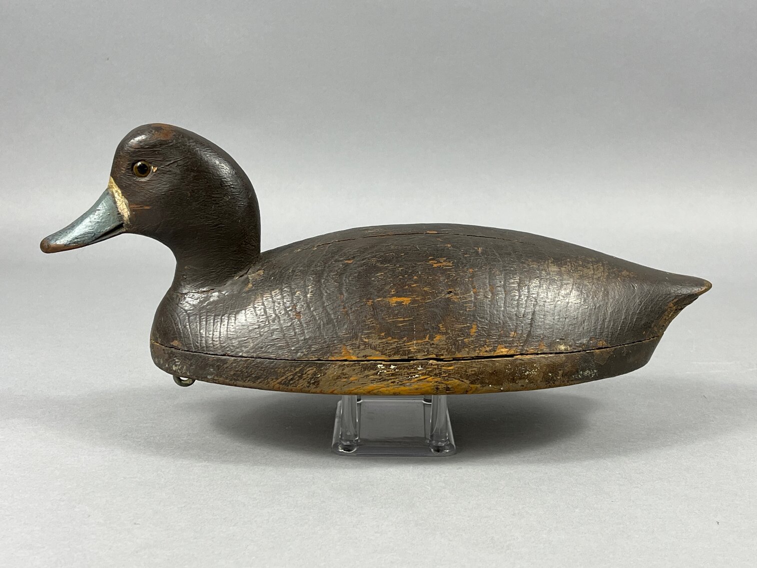 Bluebill by John Wells