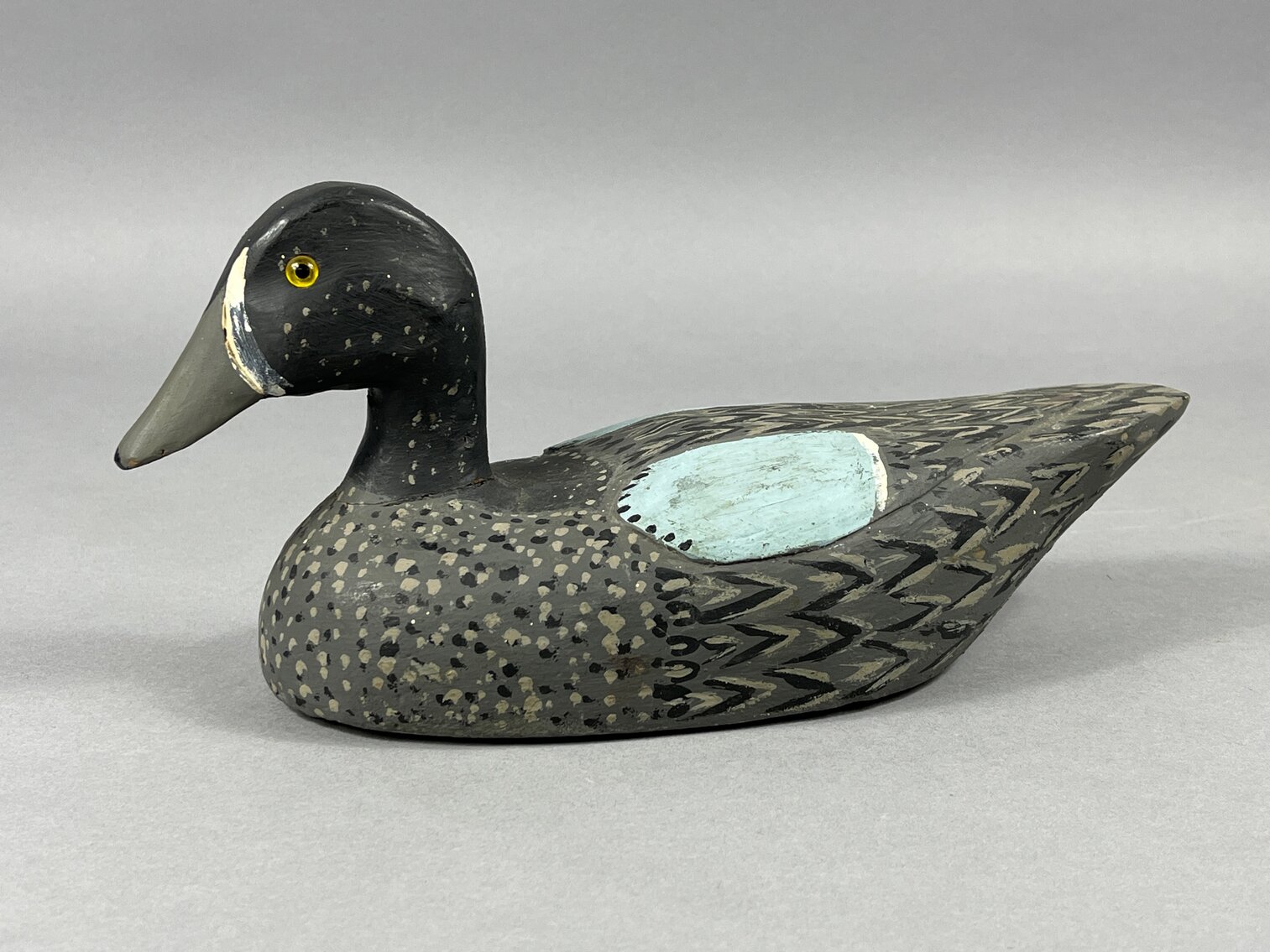 Blue Wing Teal from Louisiana 