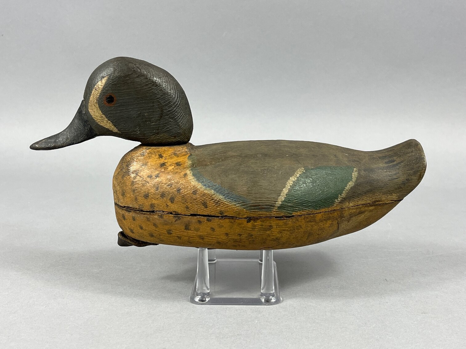 Blue Wing Teal from Louisiana 
