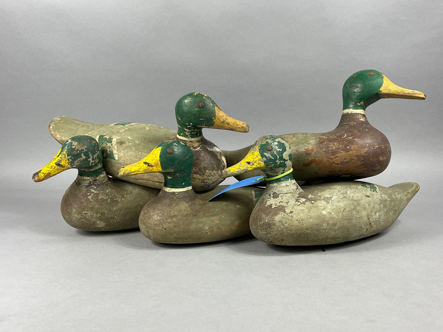 Mallards from Louisiana 