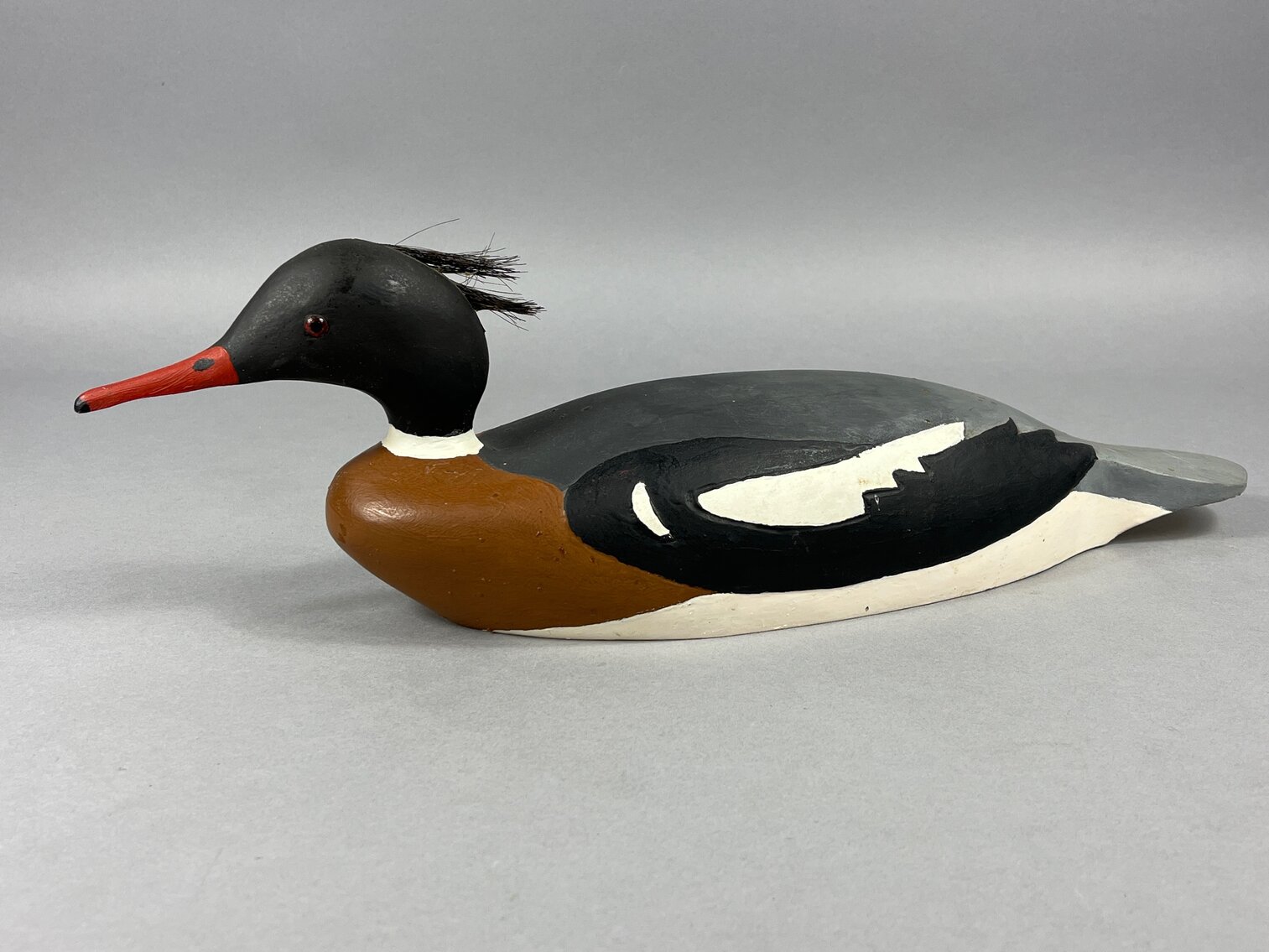Merganser by T P Ludburg