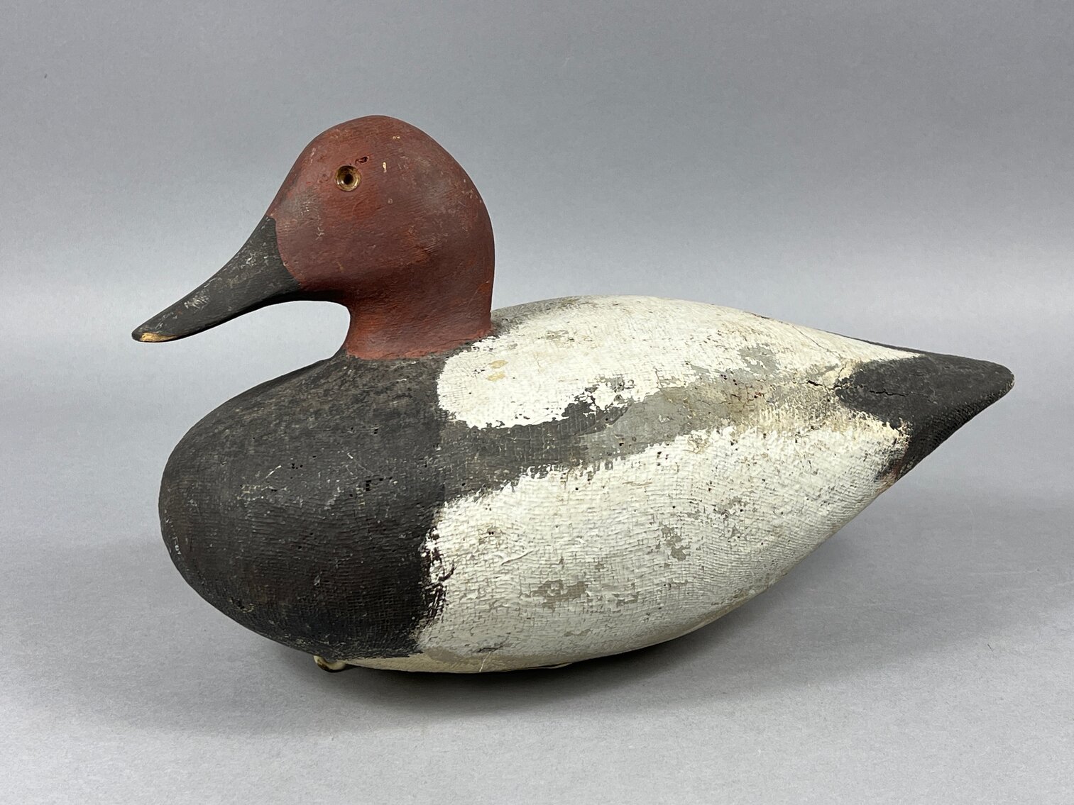 Canvasback by Walter Weber 