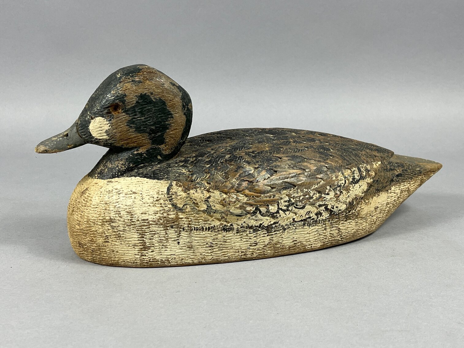 Goldeneye from Canada 
