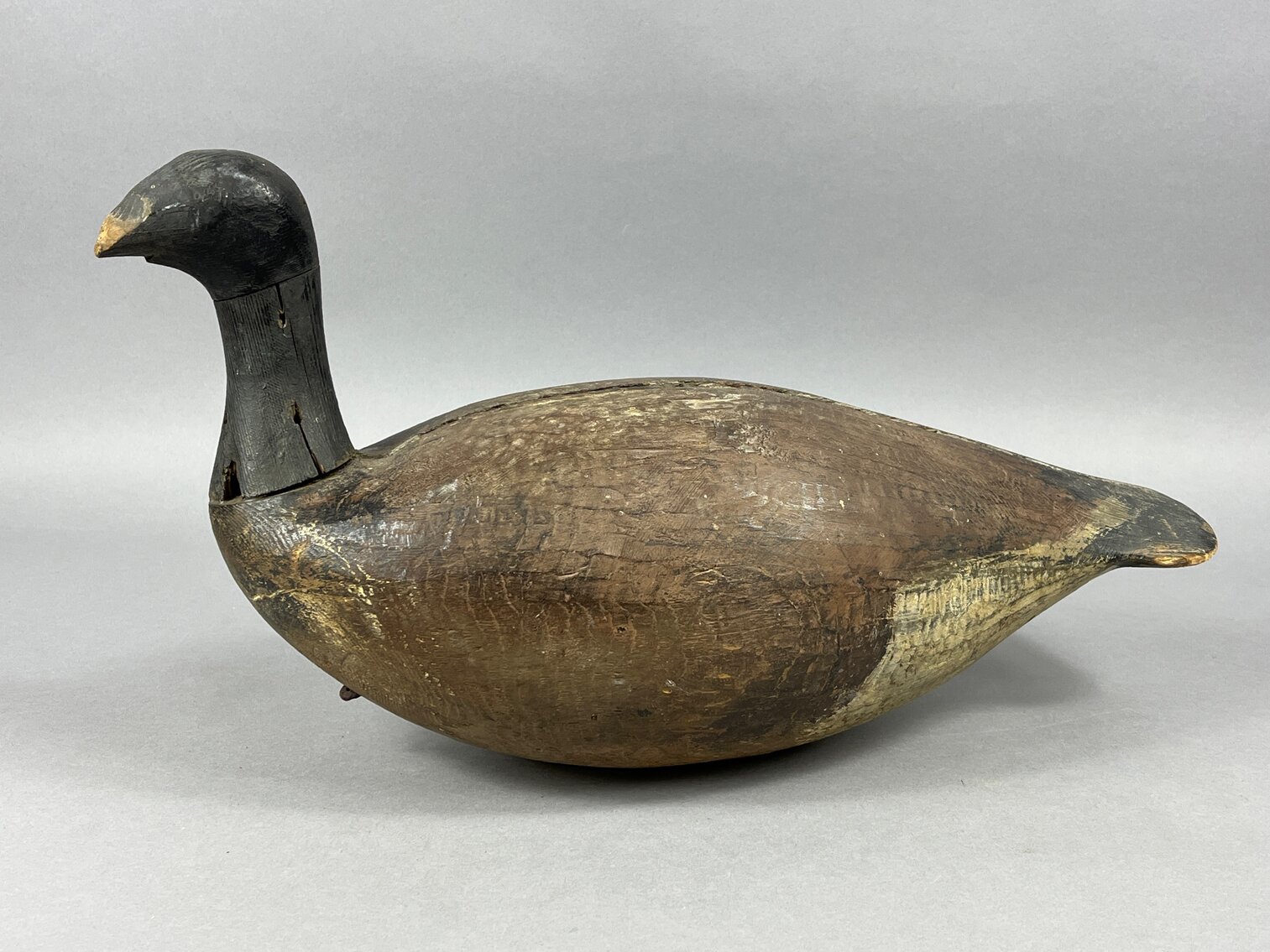Roothead Brant 