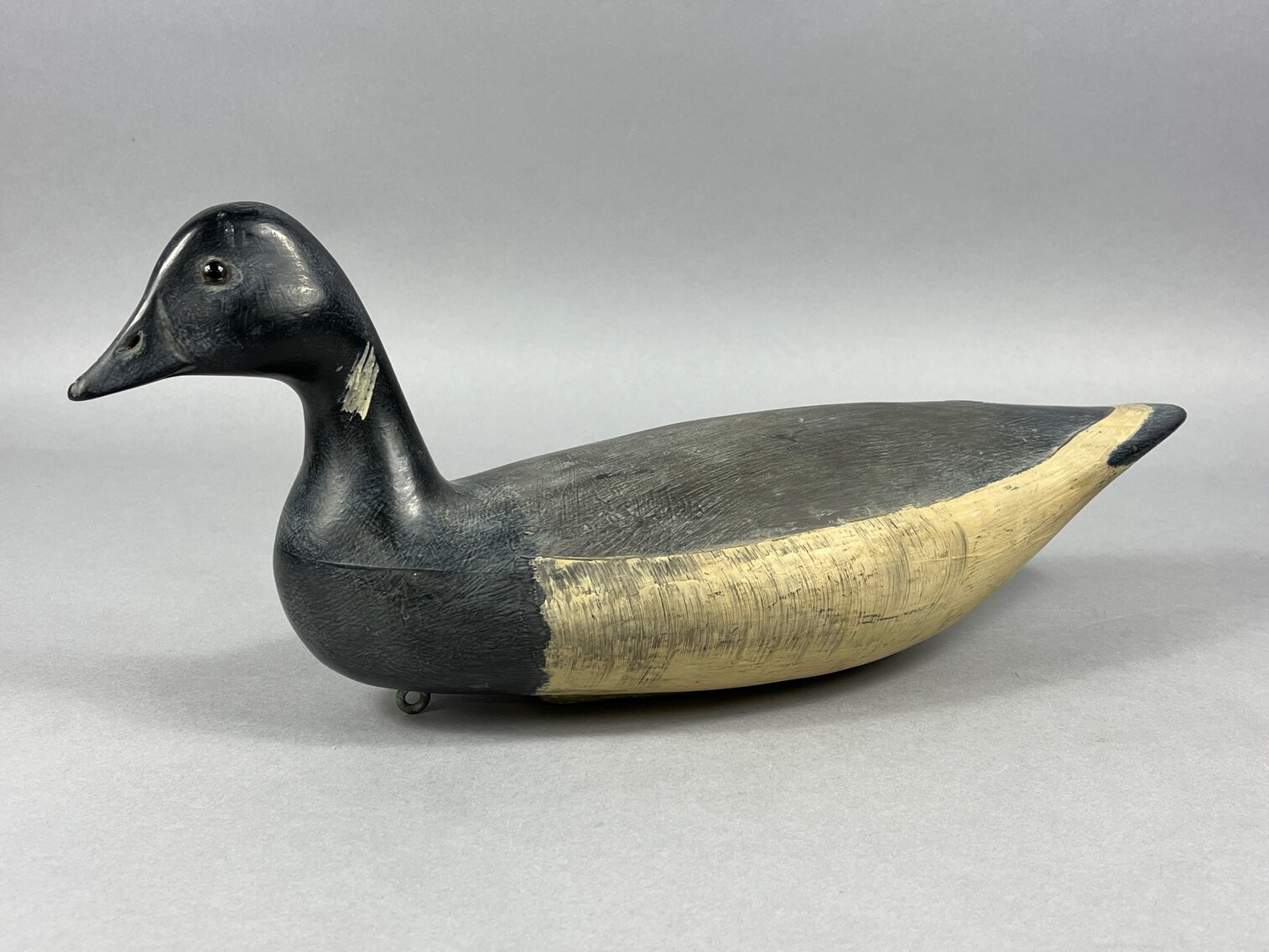 Brant by P Sabatini 