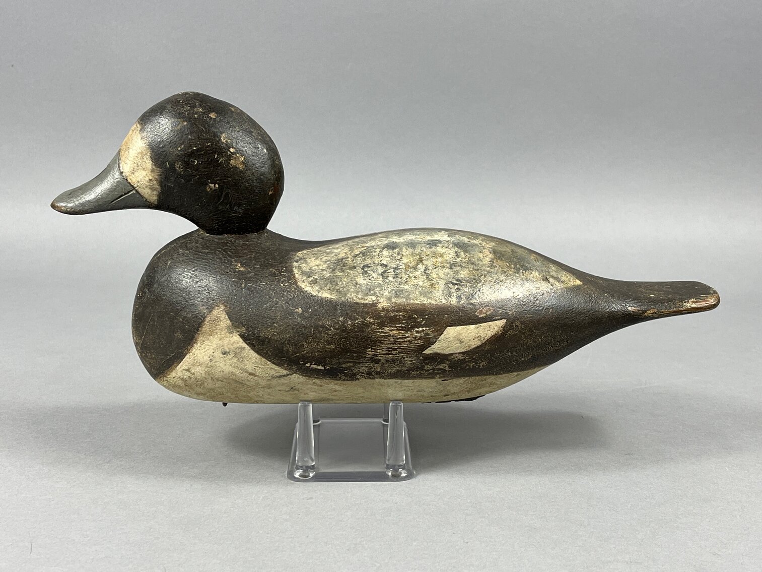Factory Hen Bluebill