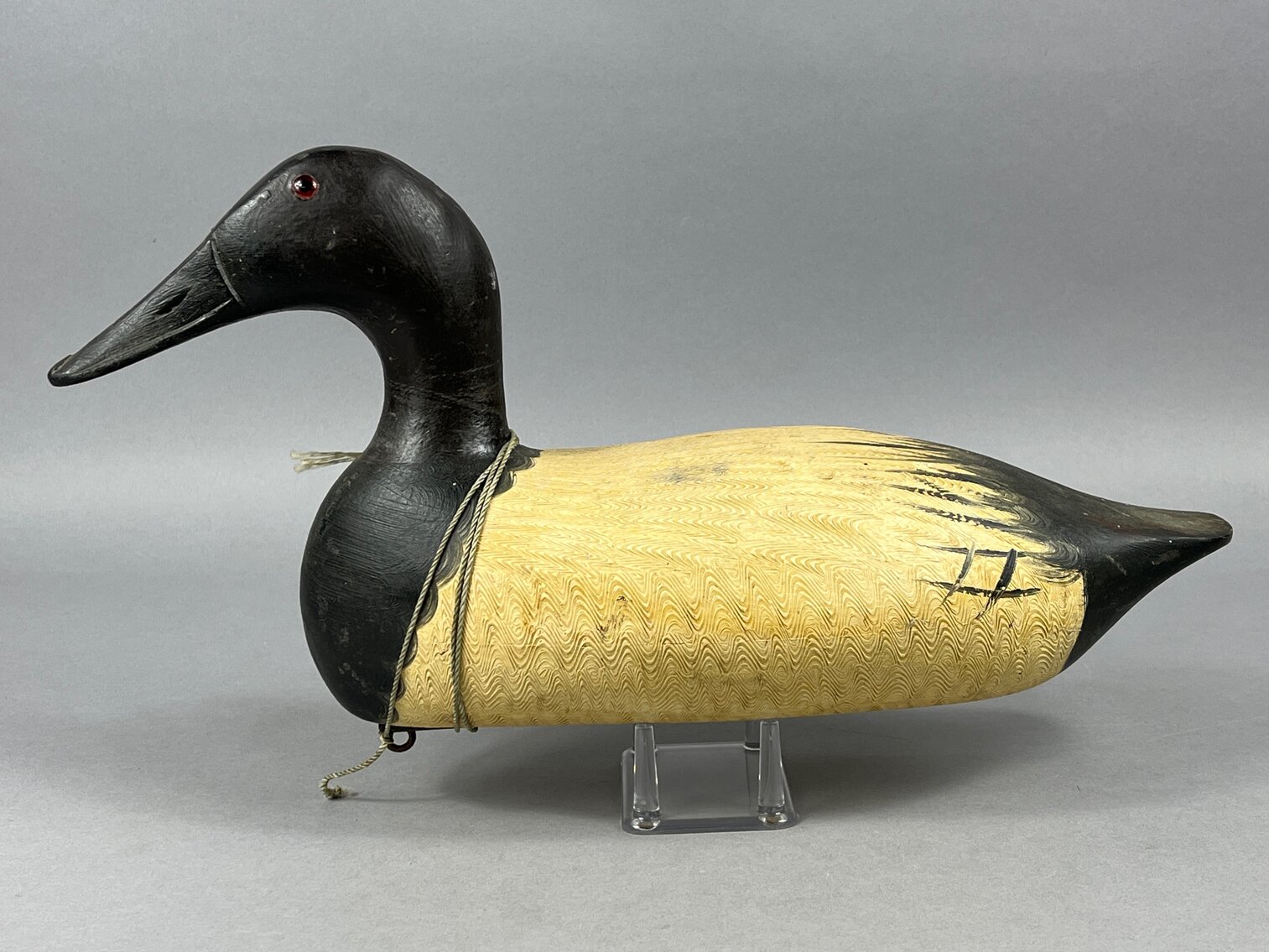Canvasback in the style of Burt Graves