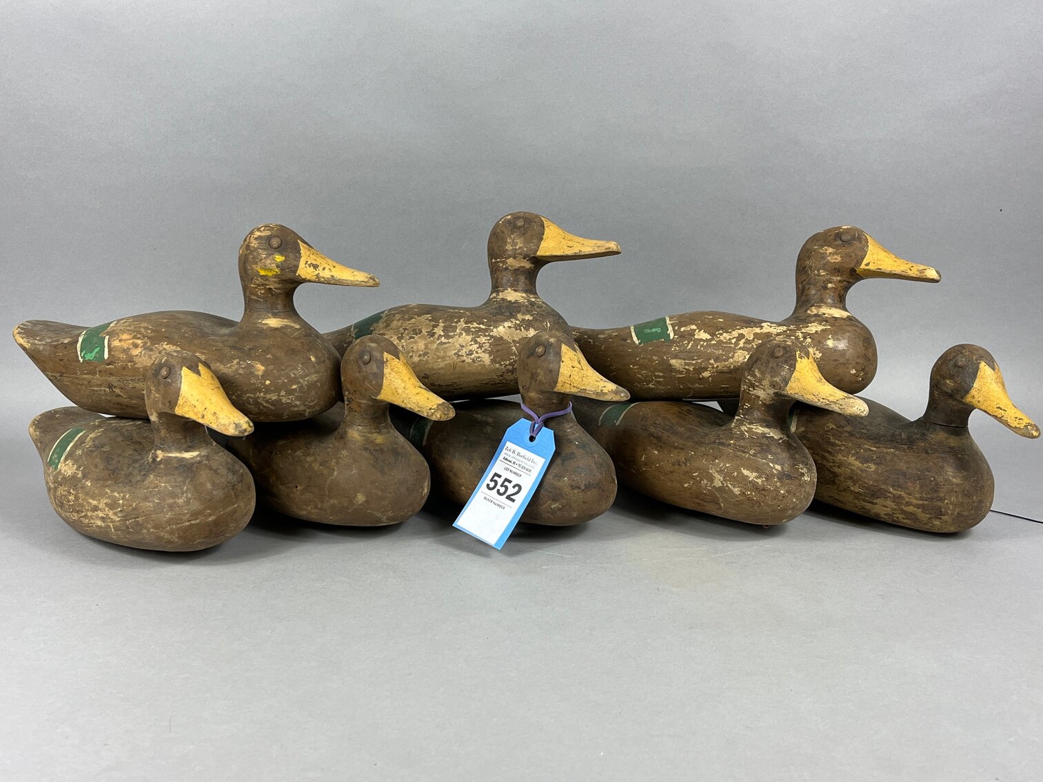 Mallards from Louisiana 