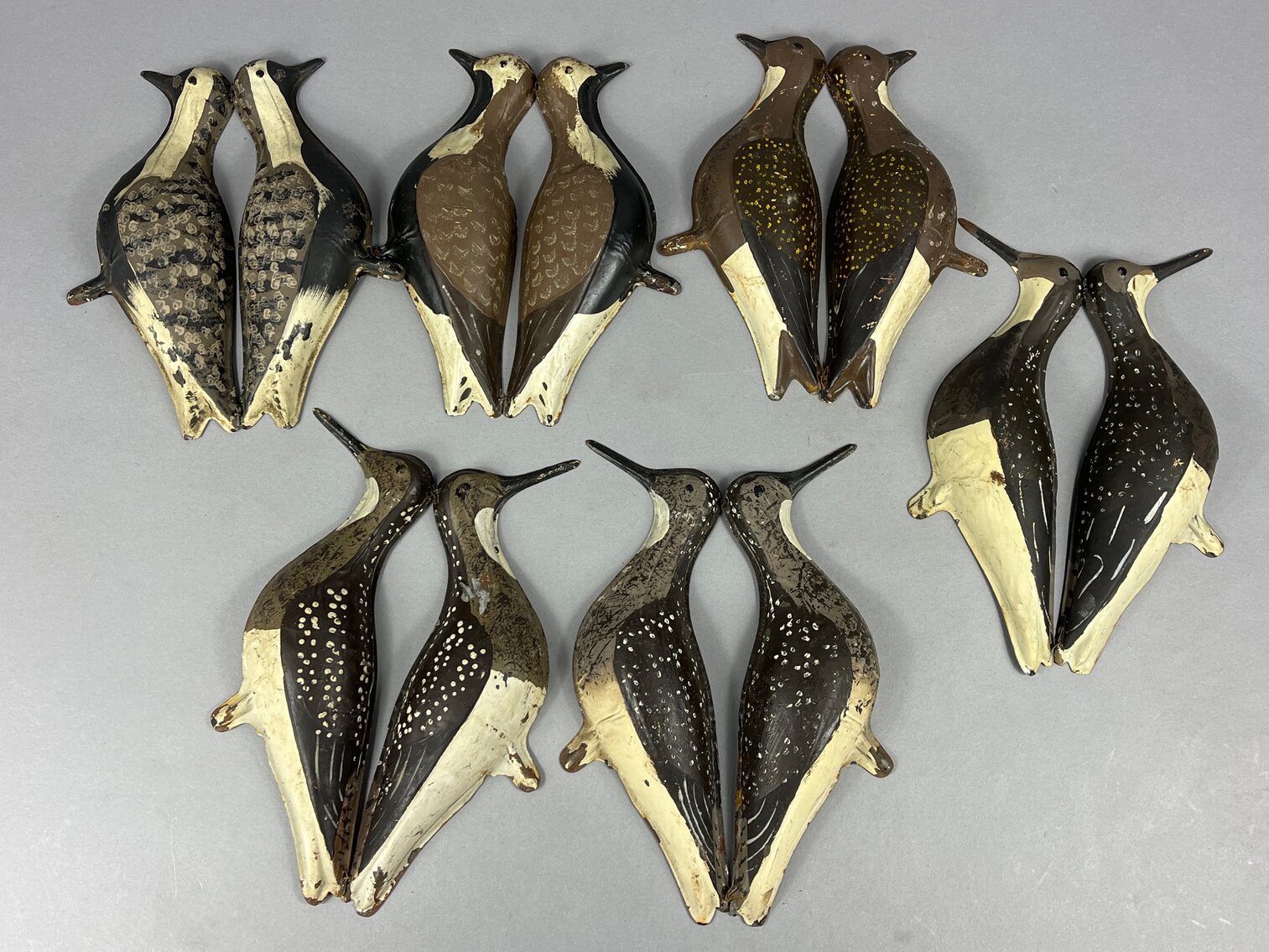 Tinnie Shorebirds