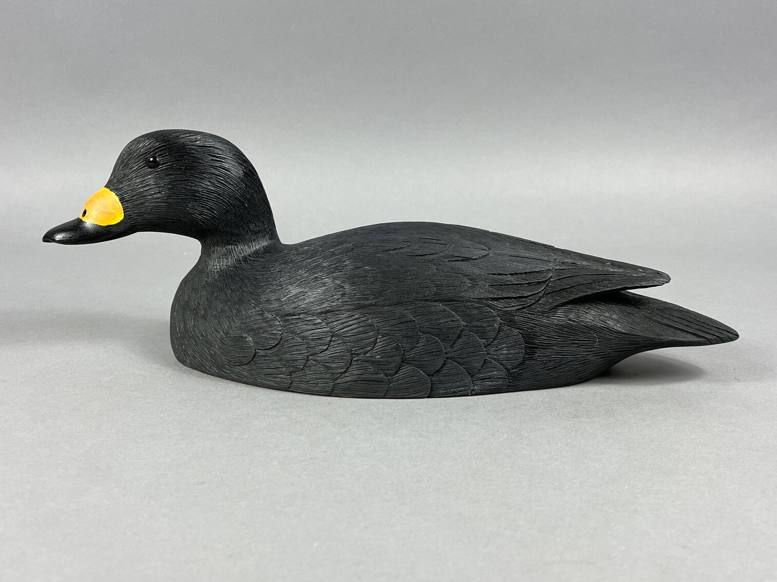 Scoter by Vernon Schnare 