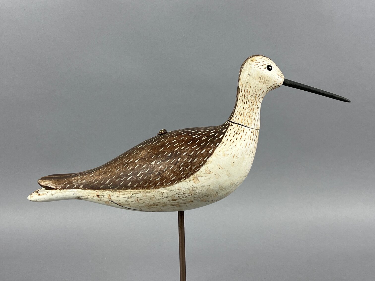 Suitcase Yellowlegs