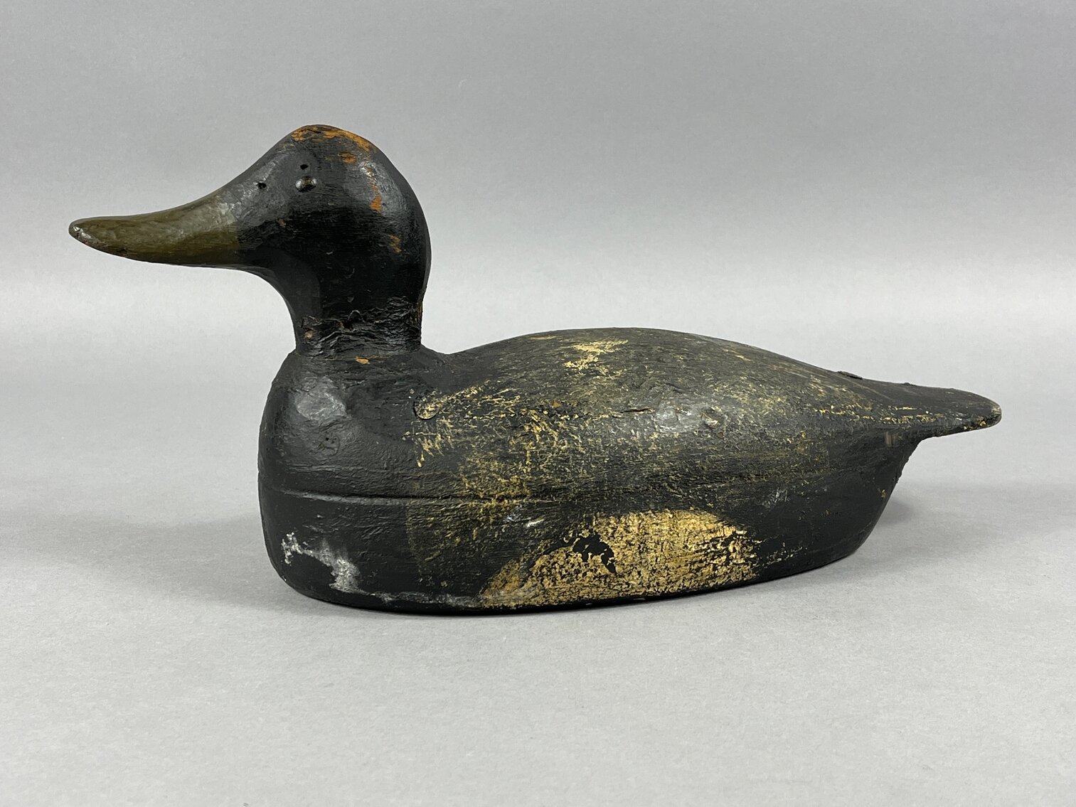 Bluebill from New York