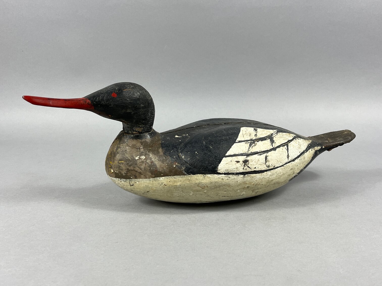 Merganser Unknown