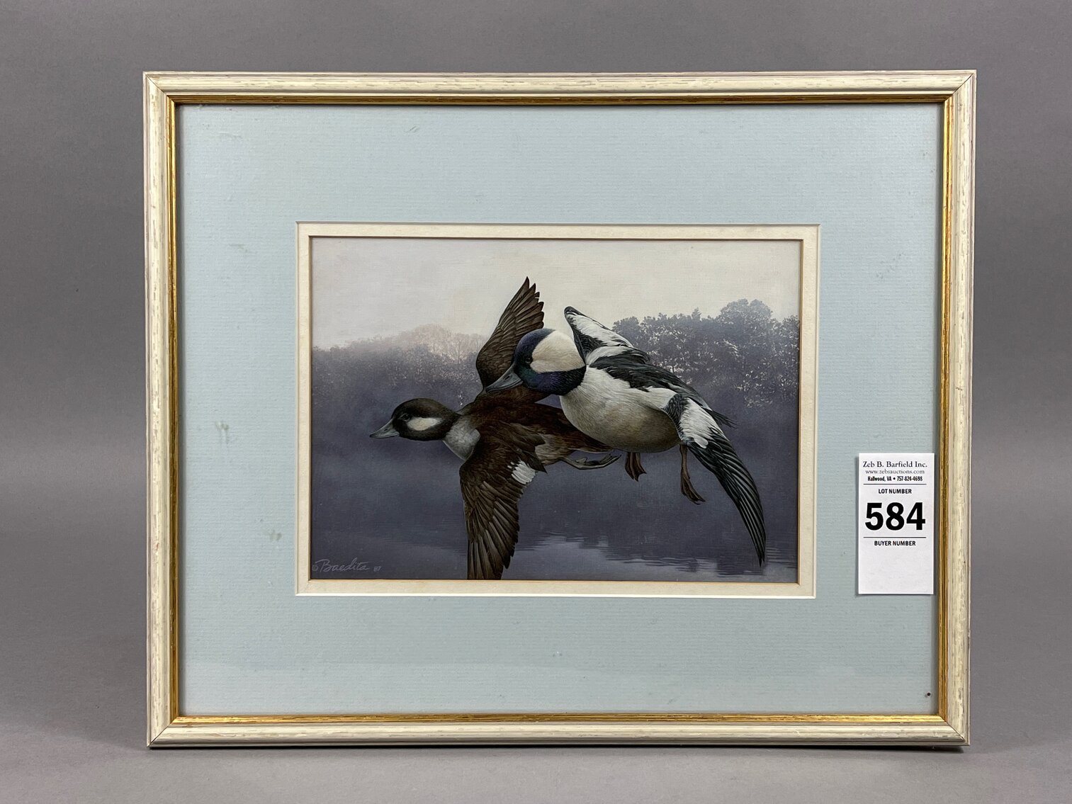 Bufflehead Painting by Baedita 