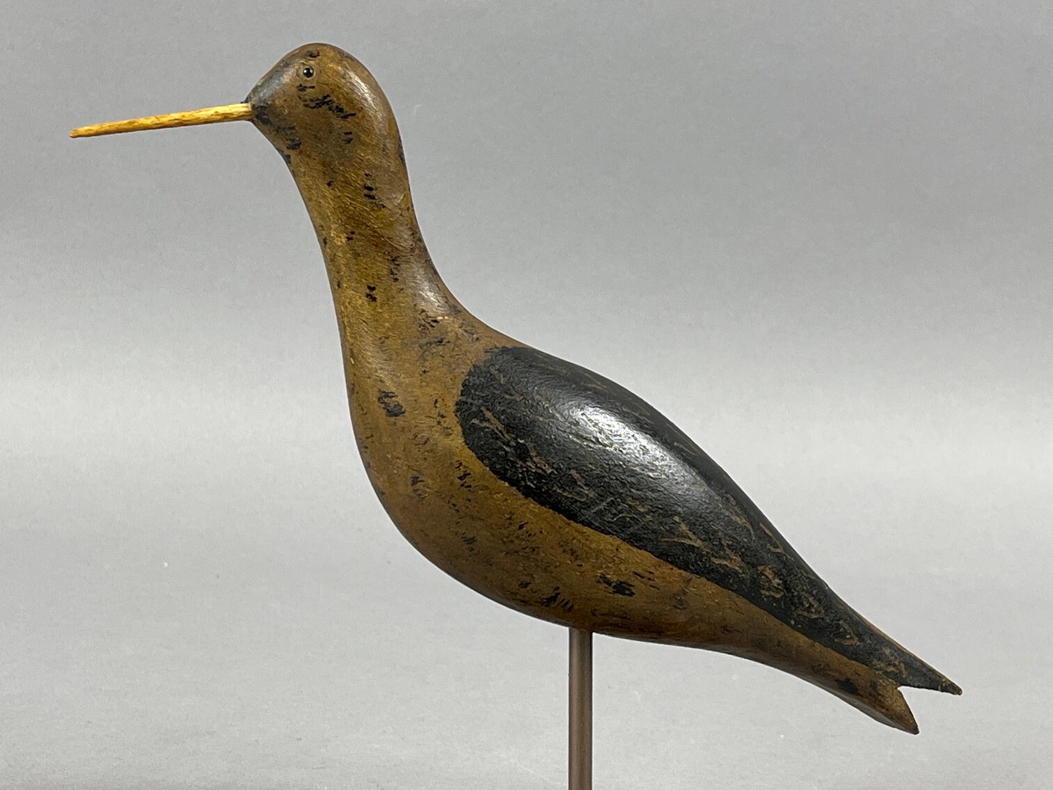 Yellowlegs from Massachusetts 