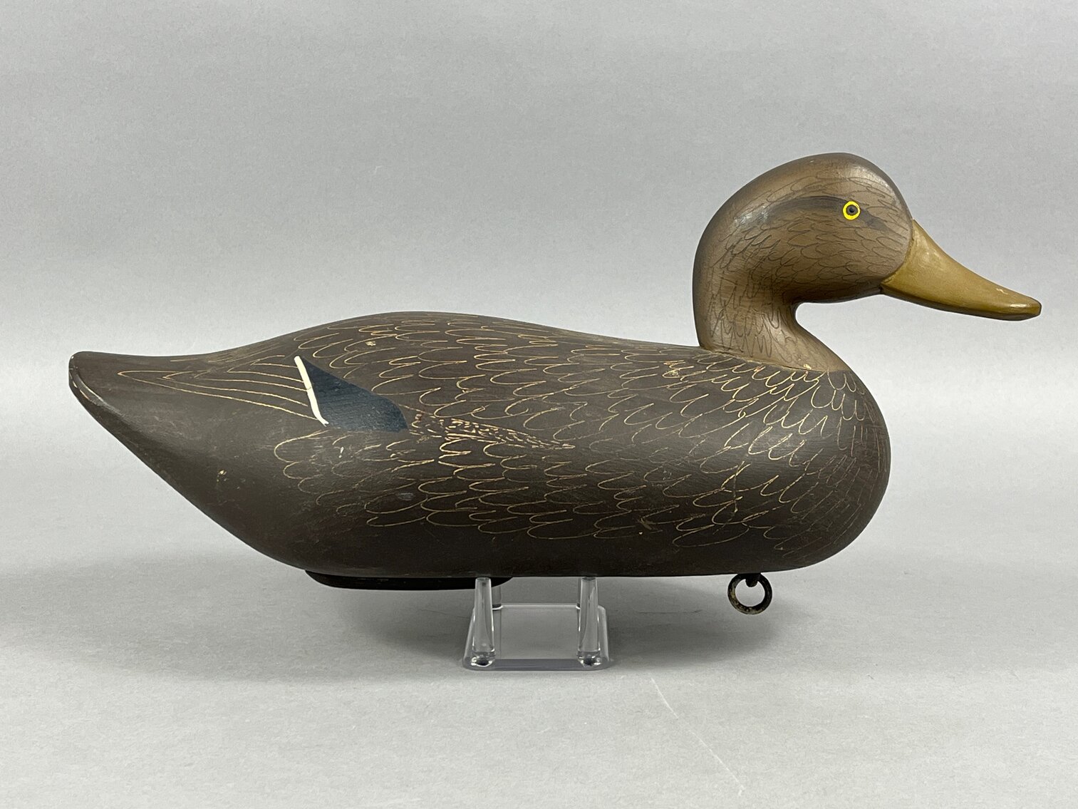 Black Duck by Charlie Bryan 