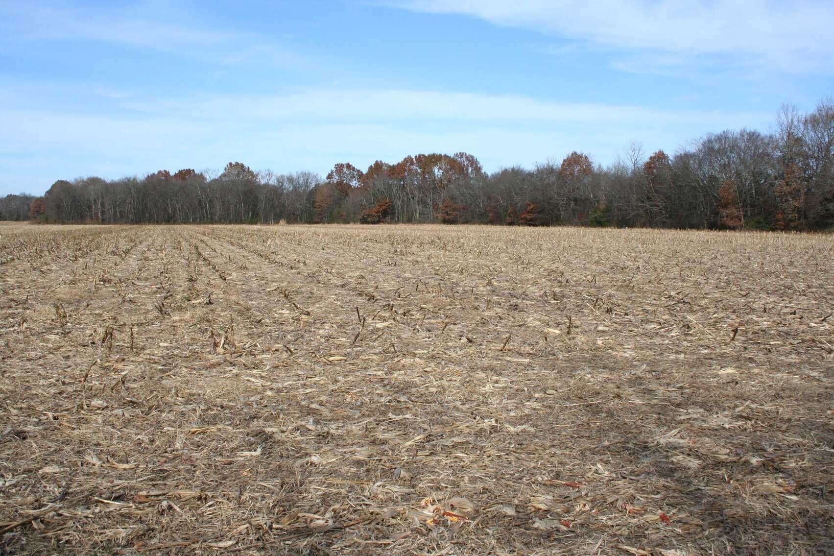 Image for 2872 Armstrong Valley Road, Murfreesboro