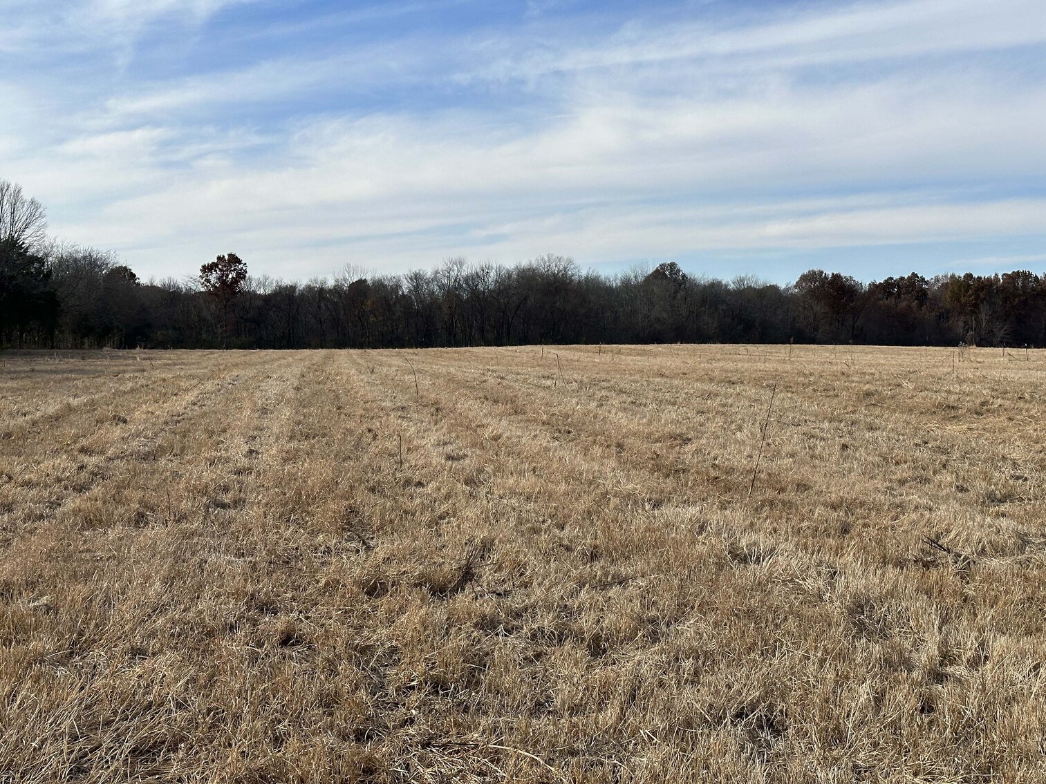 Image for 2872 Armstrong Valley Road, Murfreesboro