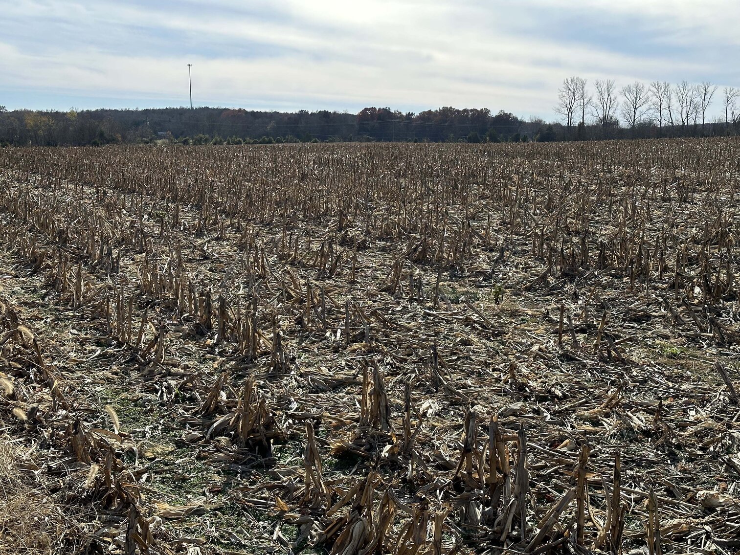 Image for 2872 Armstrong Valley Road, Murfreesboro