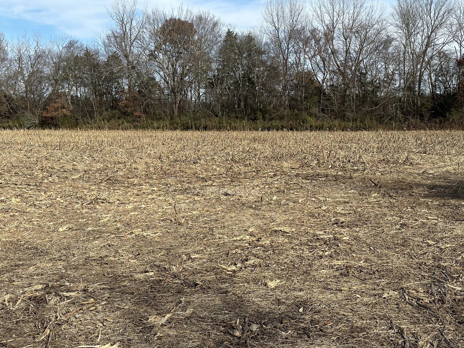 Image for 2872 Armstrong Valley Road, Murfreesboro