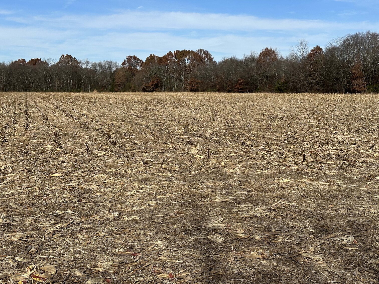 Image for 2872 Armstrong Valley Road, Murfreesboro