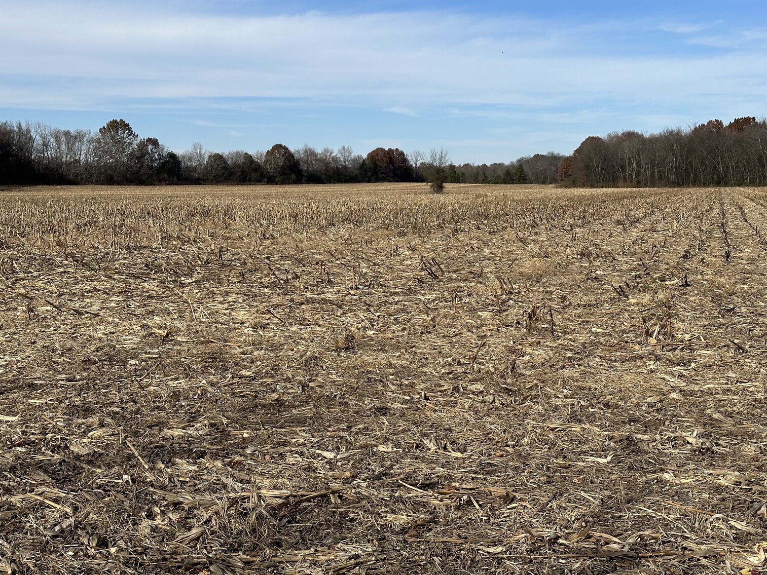 Image for 2872 Armstrong Valley Road, Murfreesboro