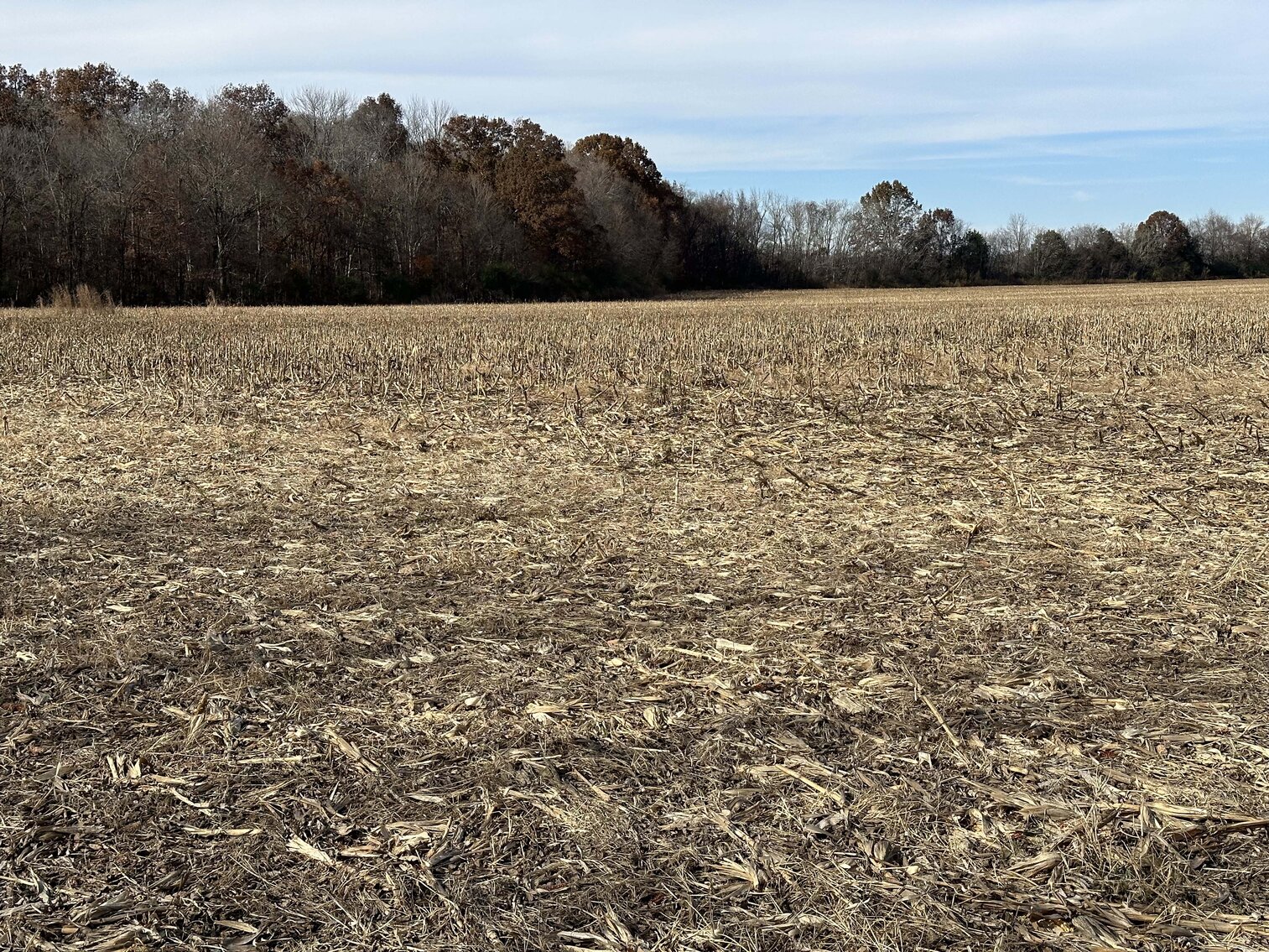 Image for 2872 Armstrong Valley Road, Murfreesboro