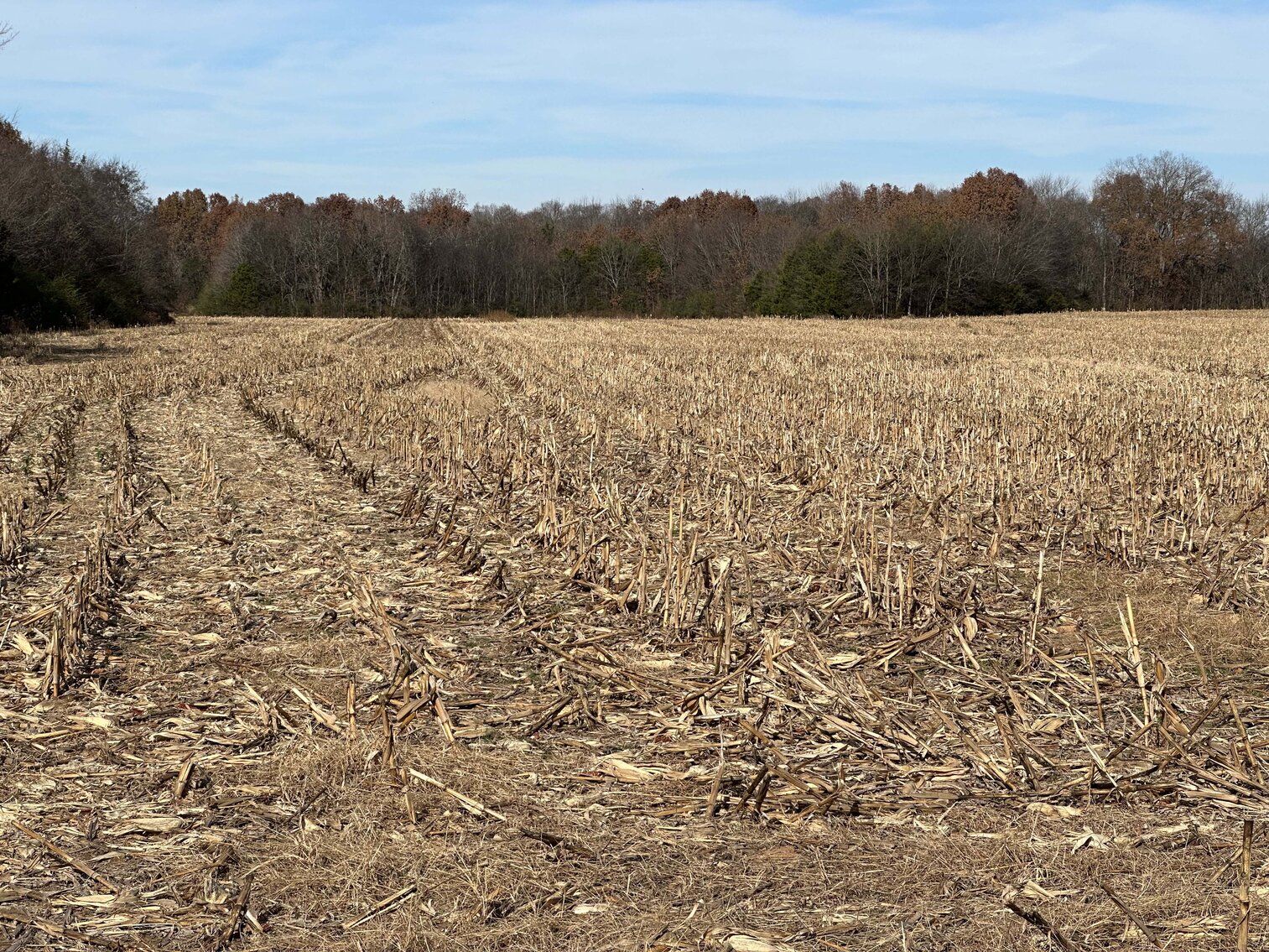 Image for 2872 Armstrong Valley Road, Murfreesboro