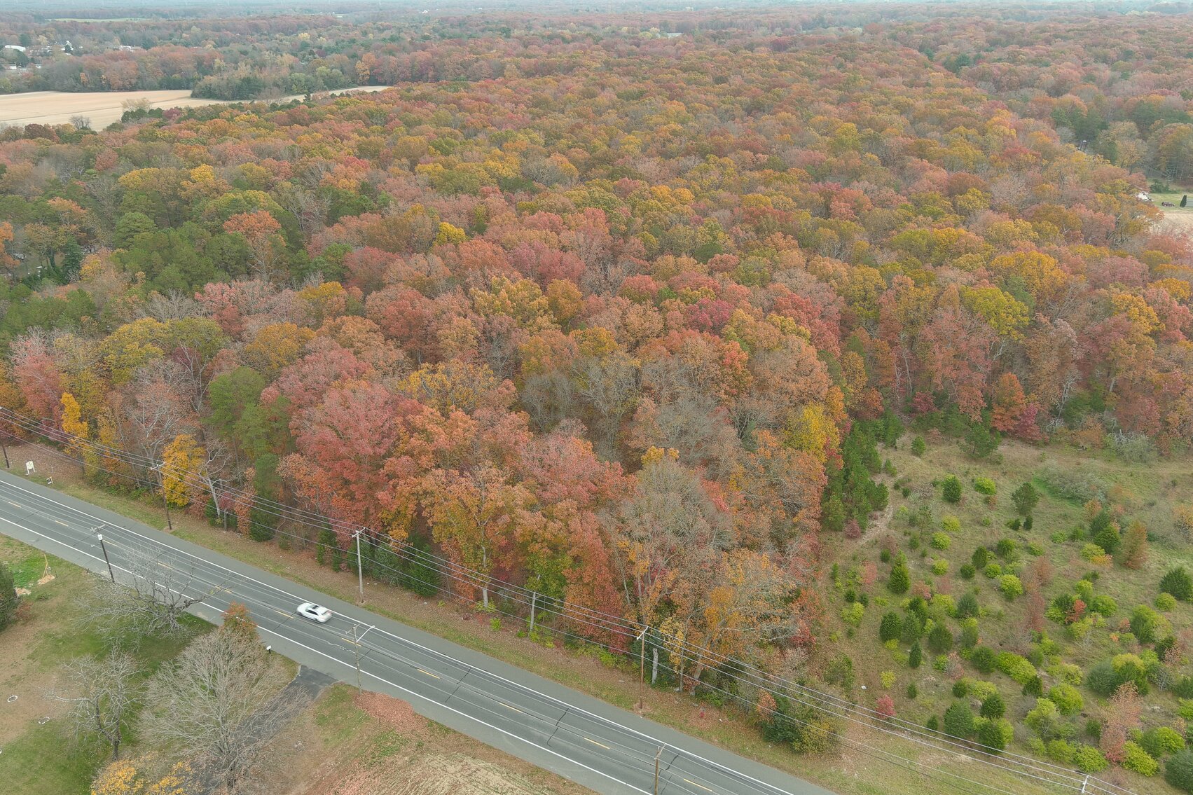 Image for Rare-Find 46.71 +/- Acres Situated in City of Vineland and Franklin Township