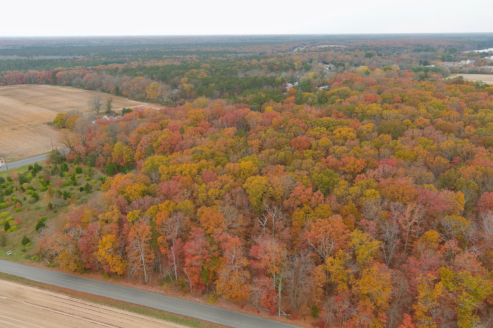 Image for Rare-Find 46.71 +/- Acres Situated in City of Vineland and Franklin Township