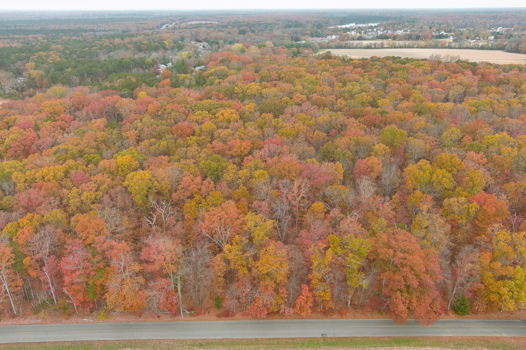 Image for Rare-Find 46.71 +/- Acres Situated in City of Vineland and Franklin Township
