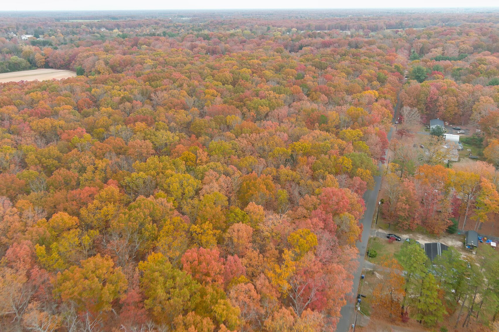 Image for Rare-Find 46.71 +/- Acres Situated in City of Vineland and Franklin Township