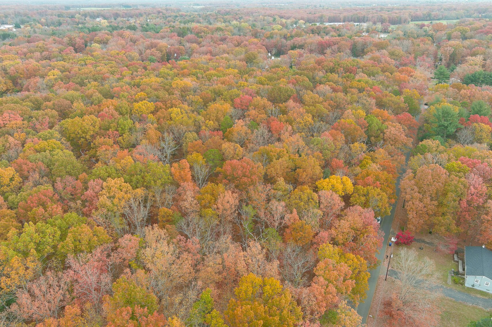 Image for Rare-Find 46.71 +/- Acres Situated in City of Vineland and Franklin Township