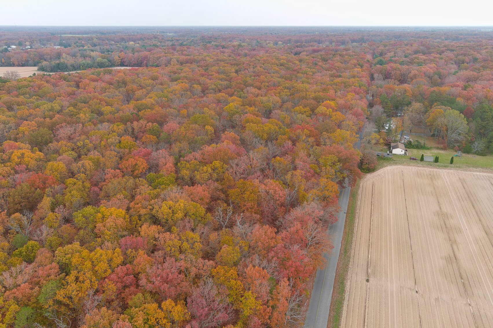 Image for Rare-Find 46.71 +/- Acres Situated in City of Vineland and Franklin Township