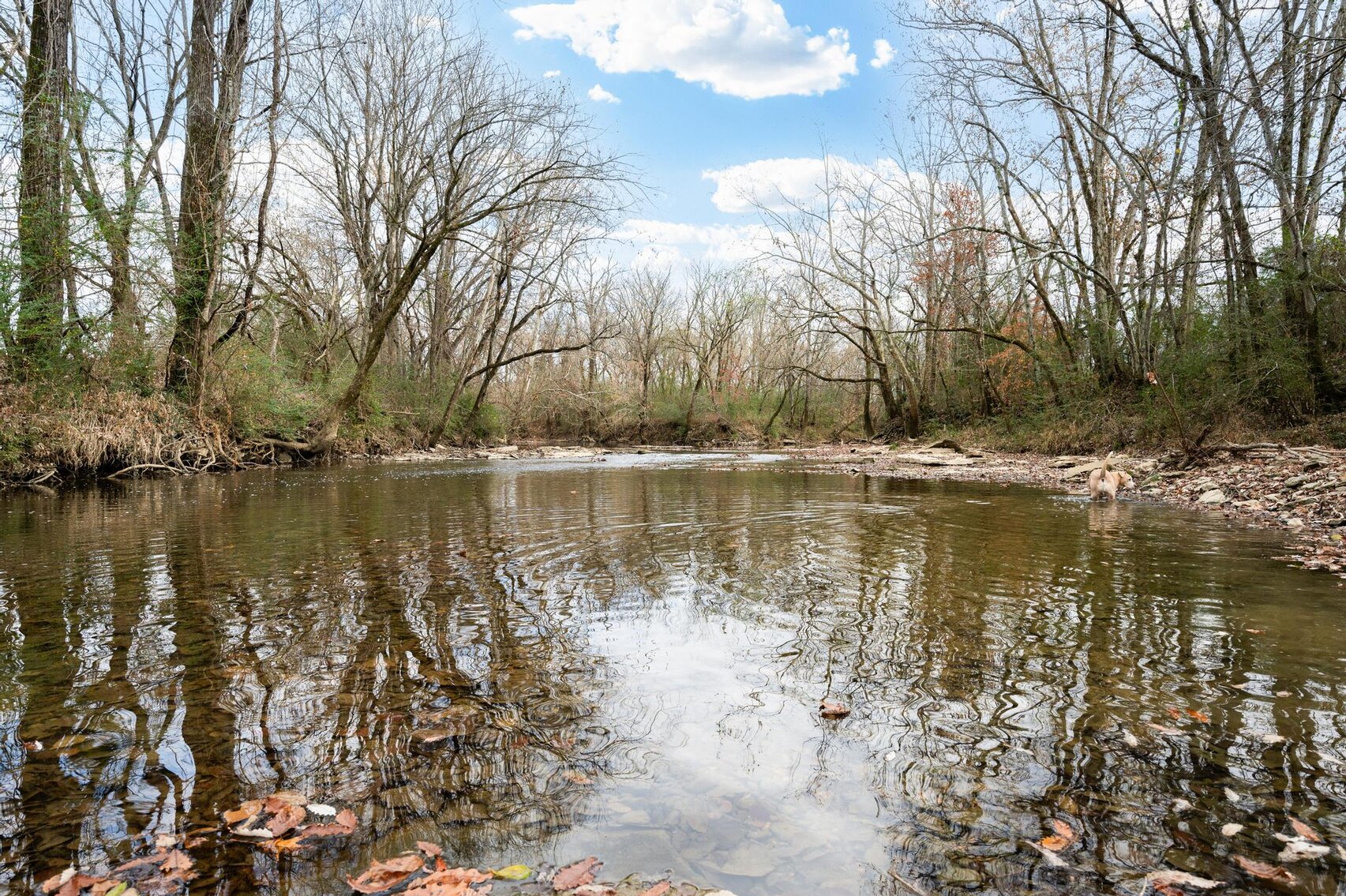 Image for 487 Hollis Creek Road, Woodbury