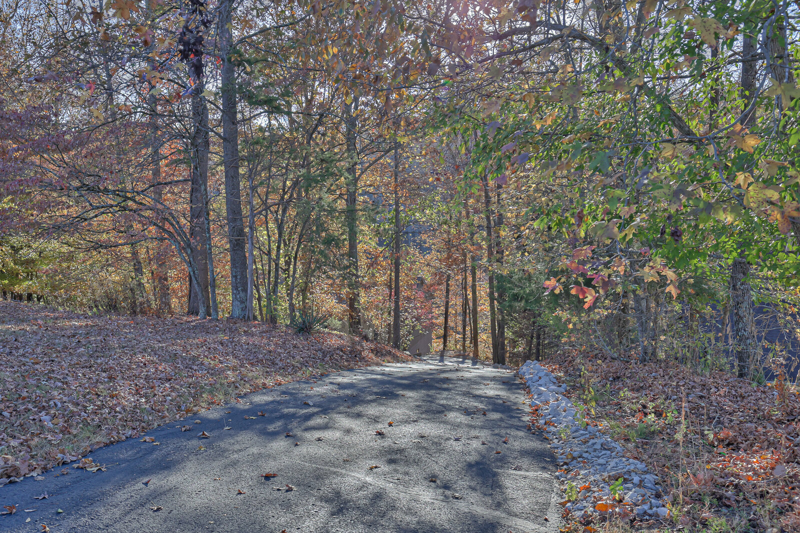 Image for 208 Rigsbys Ridge, Lynchburg