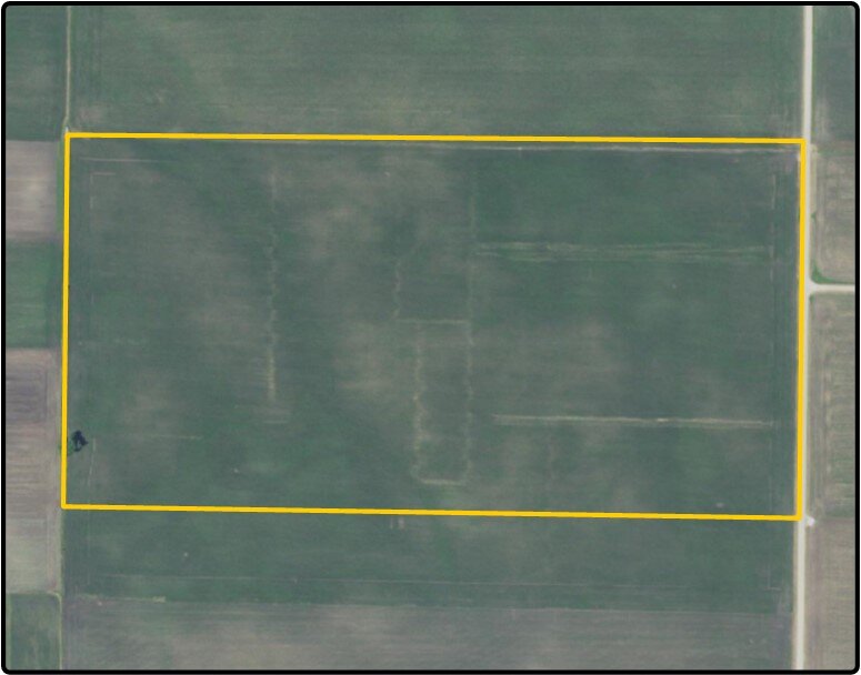 Parcel 1 Renville Co., MN 82.655 Ac., m/l (190019801)