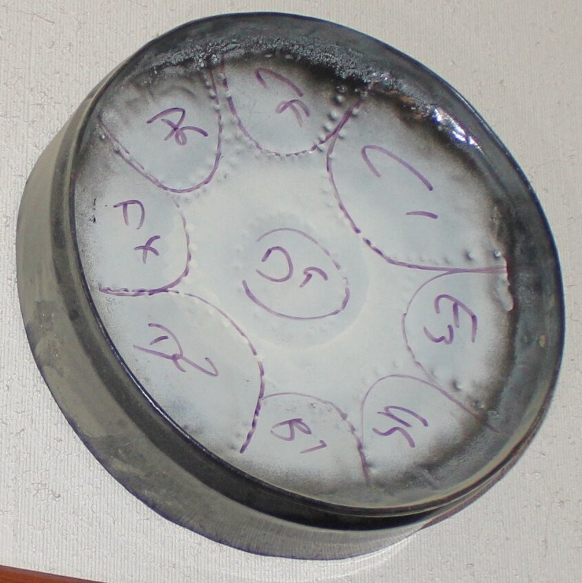 Image for TREASURE HUNT ESTATE AUCTION