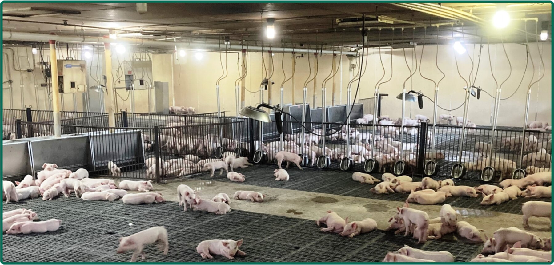 Image for Closed - Floyd Co., IA - 6.00 Ac., m/l (020-0525-06)