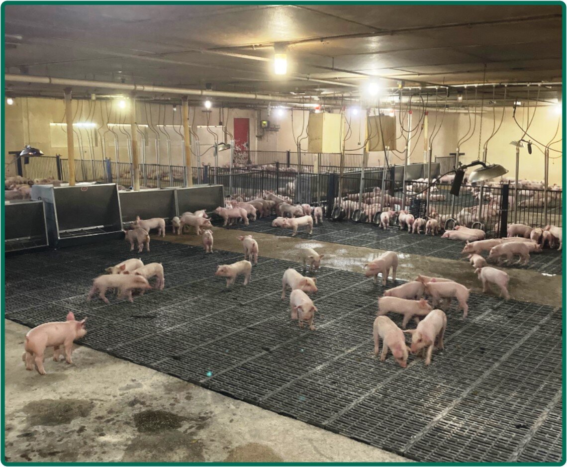 Image for Closed - Floyd Co., IA - 6.00 Ac., m/l (020-0525-06)