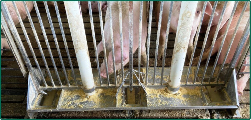 Image for Closed - Floyd Co., IA - 8.00 Ac., m/l (020-0525-07)