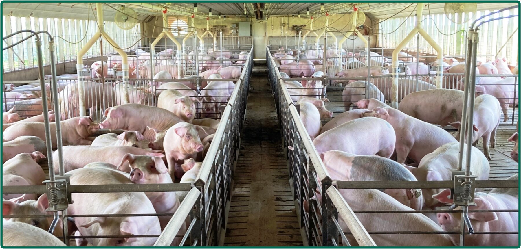 Image for Closed - Floyd Co., IA - 8.00 Ac., m/l (020-0525-07)