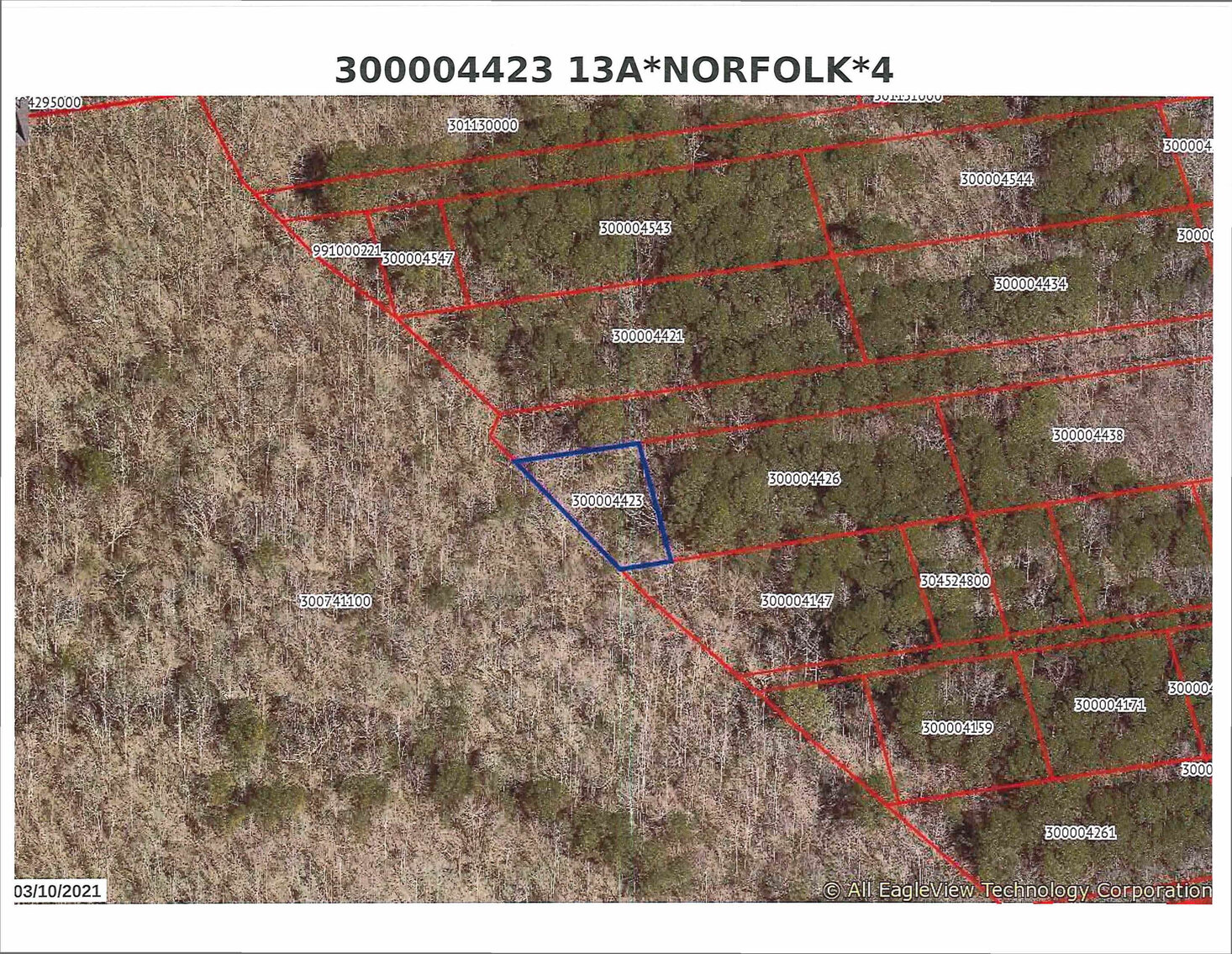 Image for Feb. 20th, 2024 - March 5th, 2024 -  City of Suffolk Nonjudicial Tax Auction